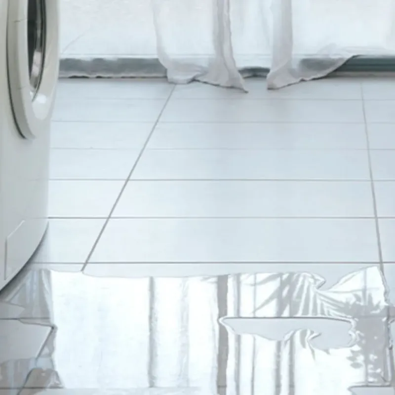 Appliance Leak Cleanup in Ravenna, MI