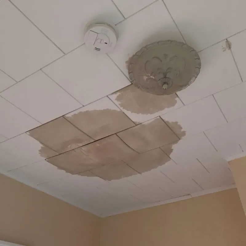 Ceiling Water Damage Repair in Ravenna, MI