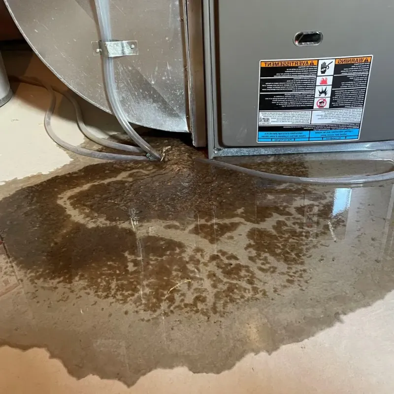 Pipe Burst and Leak Restoration in Ravenna, MI