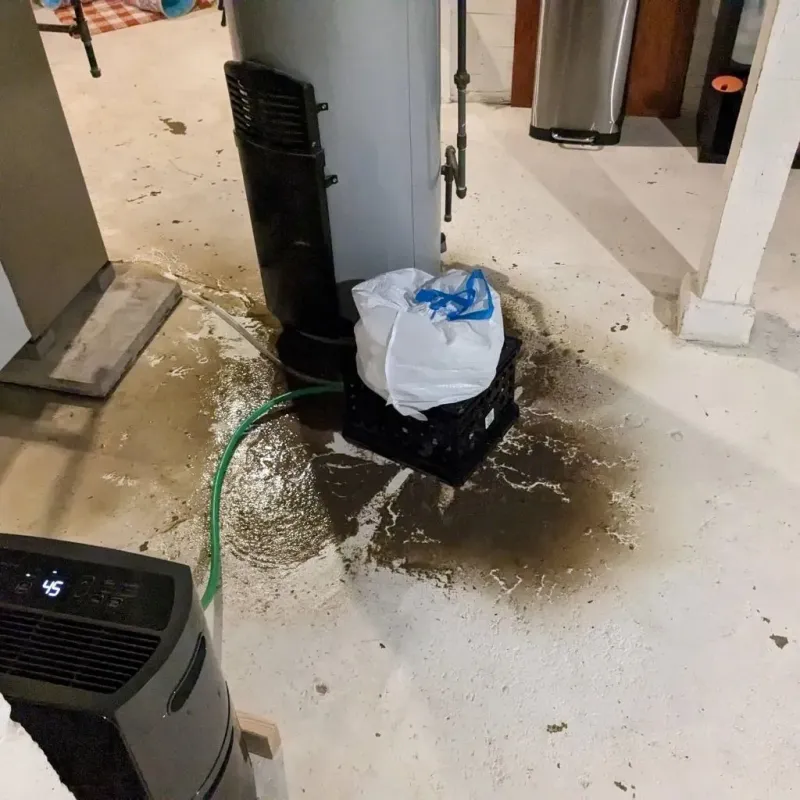 Sewage Backup Cleanup Service in Ravenna, MI
